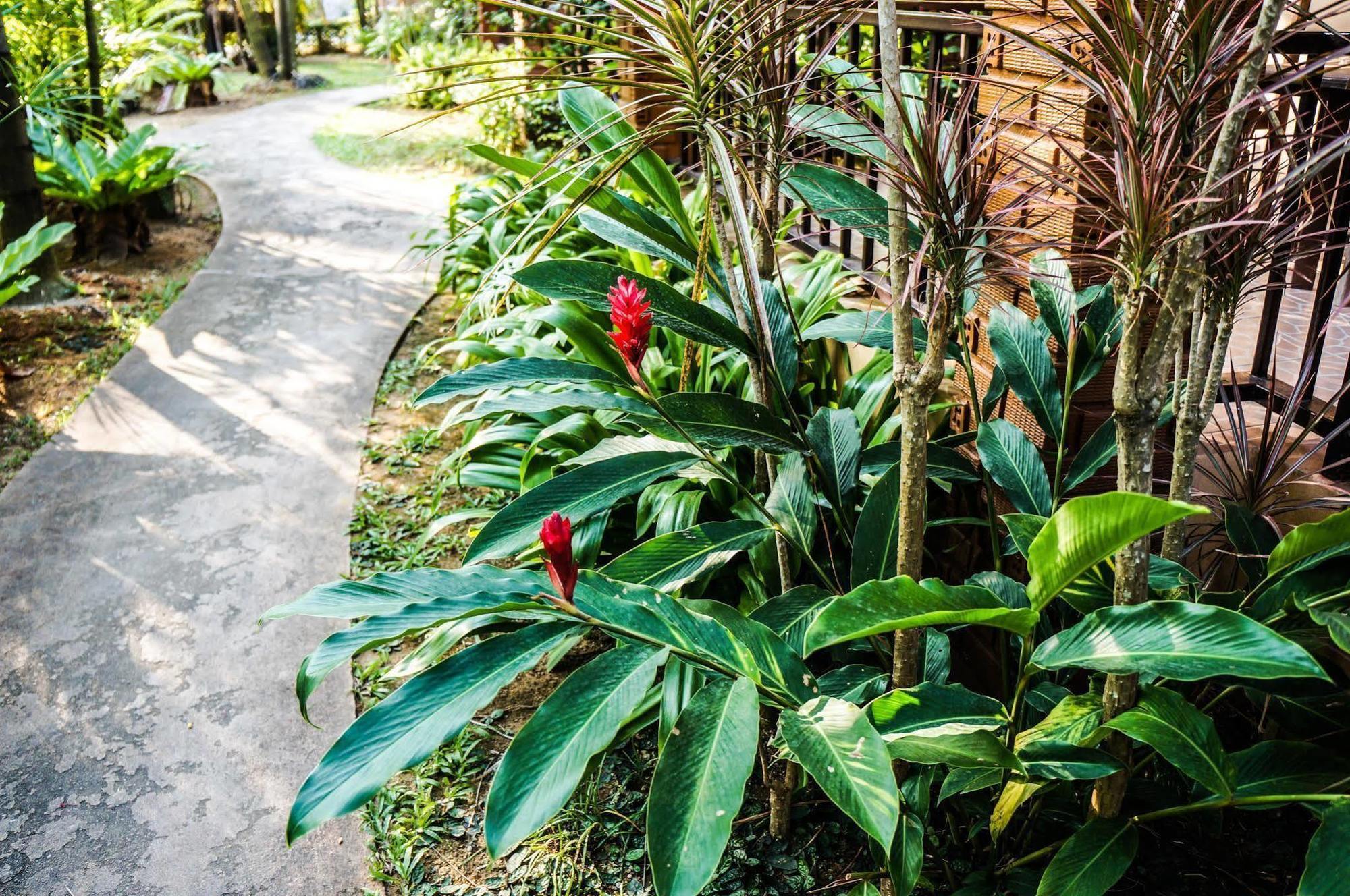 Tanamas House Hotel Thalang Luaran gambar